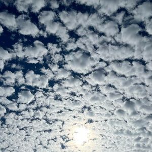 Meet your Posher, Demm